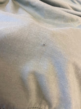 Load image into Gallery viewer, Imperfect Spring Puppies Hoodie - Size L- Dusty Green