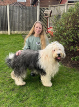 Load image into Gallery viewer, Full Colour Dog Breed Rose Embroidered Sweatshirt