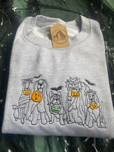 Load image into Gallery viewer, Tricks for Treats - Embroidered Dog Costume Pumpkin Sweatshirt/ hoodie for dog lovers and spooky witches ready for Halloween