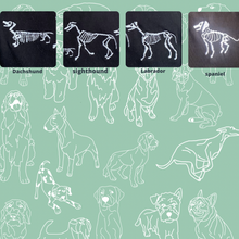 Load image into Gallery viewer, Skeledog - ANY BREED - Dogs T-Shirt- Embroidered Halloween tee for dog lovers