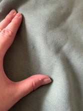 Load image into Gallery viewer, IMPERFECT Pigeons Sweatshirt - Dusty Green - S