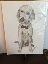 Load image into Gallery viewer, Personalised Pet Portrait- Coloured Pencil A4
