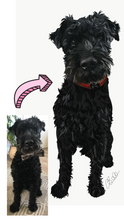 Load image into Gallery viewer, Digital Pet Portrait- Full Body