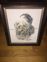 Load image into Gallery viewer, Personalised Pet Portrait- Coloured Pencil A4