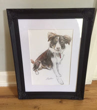 Load image into Gallery viewer, Personalised Pet Portrait- Coloured Pencil A4