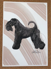 Load image into Gallery viewer, Kerry Blue Terrier Fine Art Print