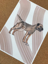 Load image into Gallery viewer, Border Terrier Fine Art Print