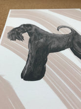 Load image into Gallery viewer, Kerry Blue Terrier Fine Art Print