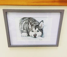 Load image into Gallery viewer, Personalised Pet Portrait- Coloured Pencil A4
