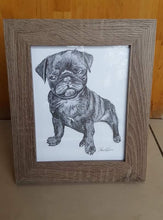 Load image into Gallery viewer, Personalised Pet Portrait- Coloured Pencil A4
