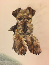 Load image into Gallery viewer, Personalised Pet Portrait- Coloured Pencil A4