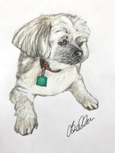 Load image into Gallery viewer, Personalised Pet Portrait- Coloured Pencil A4