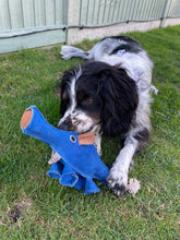 Load image into Gallery viewer, Dino the Dyno Fish - Eco Dog Toy