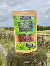 Load image into Gallery viewer, Ingrid's incredible insects' Eco insect Bakes, 130g- Dog Treats