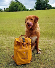 Load image into Gallery viewer, Spring Dog Breed Outline Backpack for Dog Lovers and Owners- colourful embroidered compact rucksack for your adventures