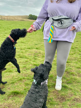 Load image into Gallery viewer, Dog Walking Bum Bag- breed silhouette recycled embroidered waist pack. The perfect gift for dog parents, dog walkers and dog groomers