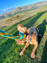 Load image into Gallery viewer, Spring Dogs Backpack for Dog Lovers and Owners- colourful embroidered compact rucksack for your adventures