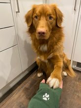 Load image into Gallery viewer, ADD ON - Custom Paw Print Embroidered Sleeve Detail