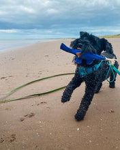 Load image into Gallery viewer, Dino the Dyno Fish - Eco Dog Toy