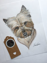 Load image into Gallery viewer, Custom Hand Drawn Pet Portrait - Head and Bust Only