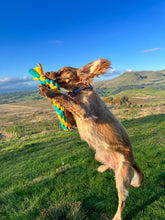 Load image into Gallery viewer, Walkie Mountains Clip on Tug- Tug toys for dogs
