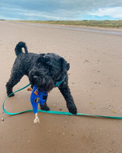 Load image into Gallery viewer, Dino the Dyno Fish - Eco Dog Toy