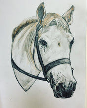 Load image into Gallery viewer, Custom Hand Drawn Pet Portrait - Head and Bust Only