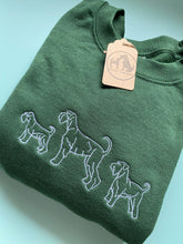 Load image into Gallery viewer, Embroidered Schnauzer Trio Sweatshirt - For Miniature, Standard and Giant schnauzer owners