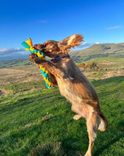 Load image into Gallery viewer, Dog Club Backpack for Dog Lovers and Owners- colourful embroidered compact rucksack  for your adventures
