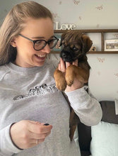Load image into Gallery viewer, Embroidered Border Terrier Sweatshirt - Gifts for dog lovers & owners