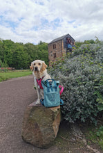 Load image into Gallery viewer, Spring Dog Breed Outline Backpack for Dog Lovers and Owners- colourful embroidered compact rucksack for your adventures