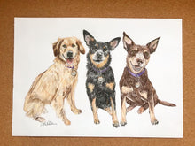 Load image into Gallery viewer, Personalised Pet Portrait- Coloured Pencil A4