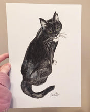 Load image into Gallery viewer, Personalised Pet Portrait- Coloured Pencil A4