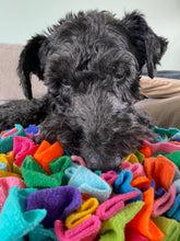 Load image into Gallery viewer, Funfetti Snuffle Mat for Dogs- by Walkie Mountains