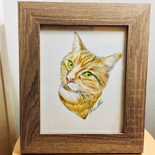 Load image into Gallery viewer, Custom Hand Drawn Pet Portrait - Head and Bust Only
