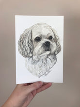 Load image into Gallery viewer, Custom Hand Drawn Pet Portrait - Head and Bust Only