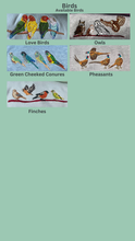 Load image into Gallery viewer, Colourful Birds Backpack for Bird Lovers and Owners- colourful embroidered compact rucksack for your adventures
