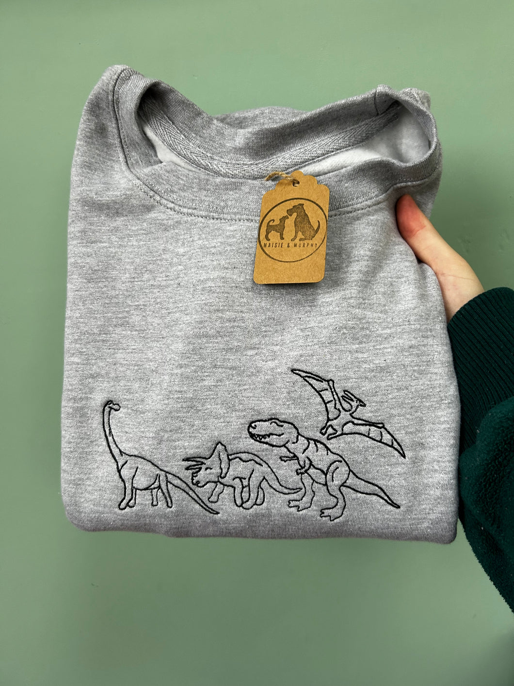 Embroidered Dinosaurs Sweatshirt- T-Rex, Triceratops, Diplodocus, Pterodactyl