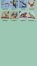Load image into Gallery viewer, Bird Embroidered Sew on / Iron on Patch - For up-cycling projects.
