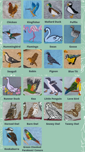 Load image into Gallery viewer, Bird Embroidered T-Shirt - Pigeon, Kingfisher, Swan, Goose, Duck, Blue tit, Robin, Seagull, Flamingo, Puffin, Swan, Hummingbird, Running duck, Kea, Little Blue penguin. Bird Embroidery for bird lovers and twitchers.
