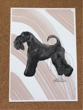 Load image into Gallery viewer, Kerry Blue Terrier Fine Art Print
