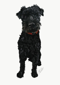 Digital Pet Portrait- Full Body