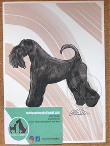 Kerry Blue Terrier Fine Art Print