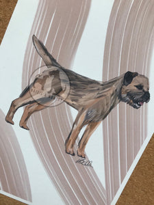 Border Terrier Fine Art Print