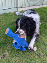 Load image into Gallery viewer, Dino the Dyno Fish - Eco Dog Toy
