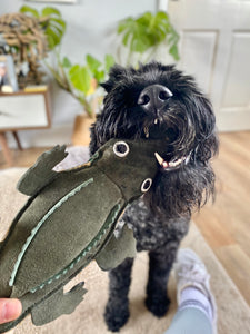 Colin the Crocodile - Eco Dog Toy