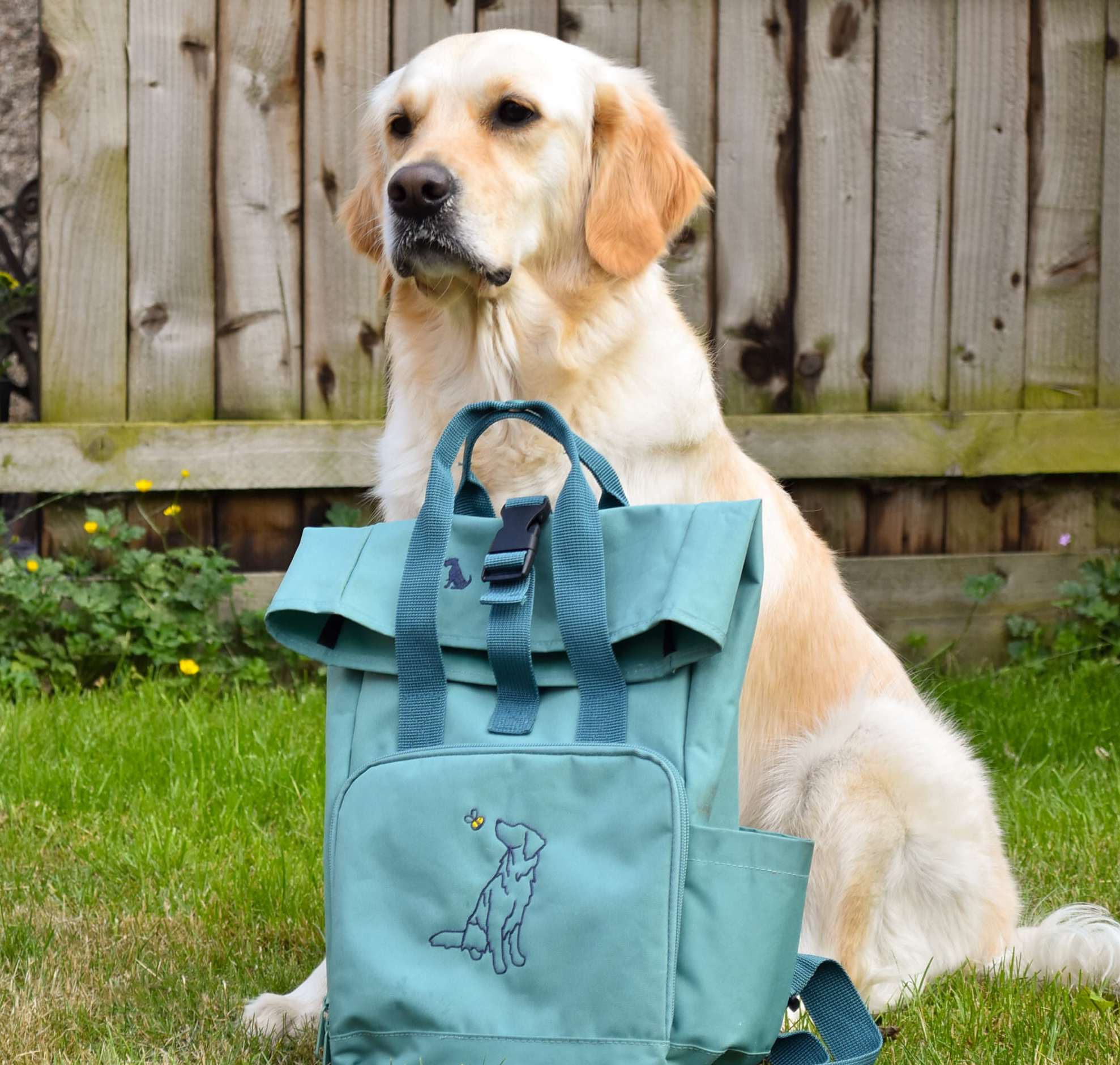 Dog outlet rucksack uk