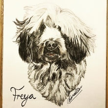 Load image into Gallery viewer, Custom Hand Drawn Pet Portrait
