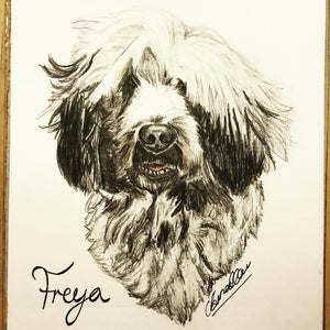 Custom Hand Drawn Pet Portrait