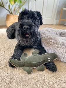 Colin the Crocodile - Eco Dog Toy